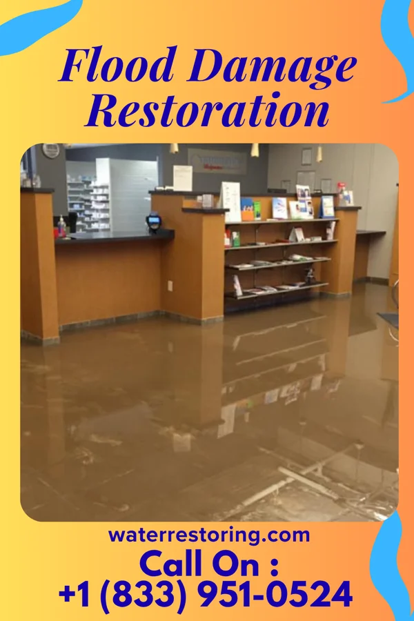 Flood Damage Restoration in Woodland Hills, NE