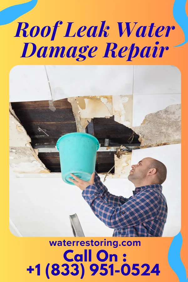 Roof Leak Water Damage Repair in Woodland Hills, NE